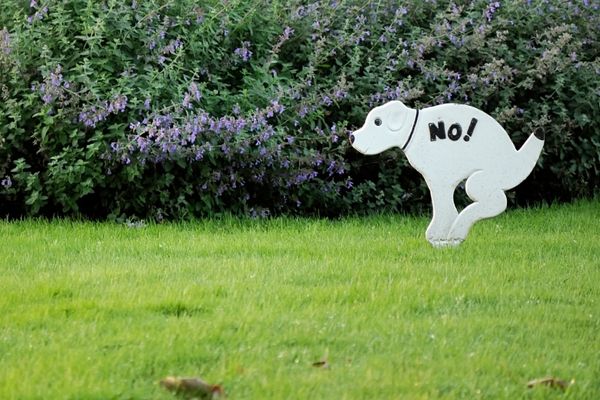 Lawn sign saying no dog pooping